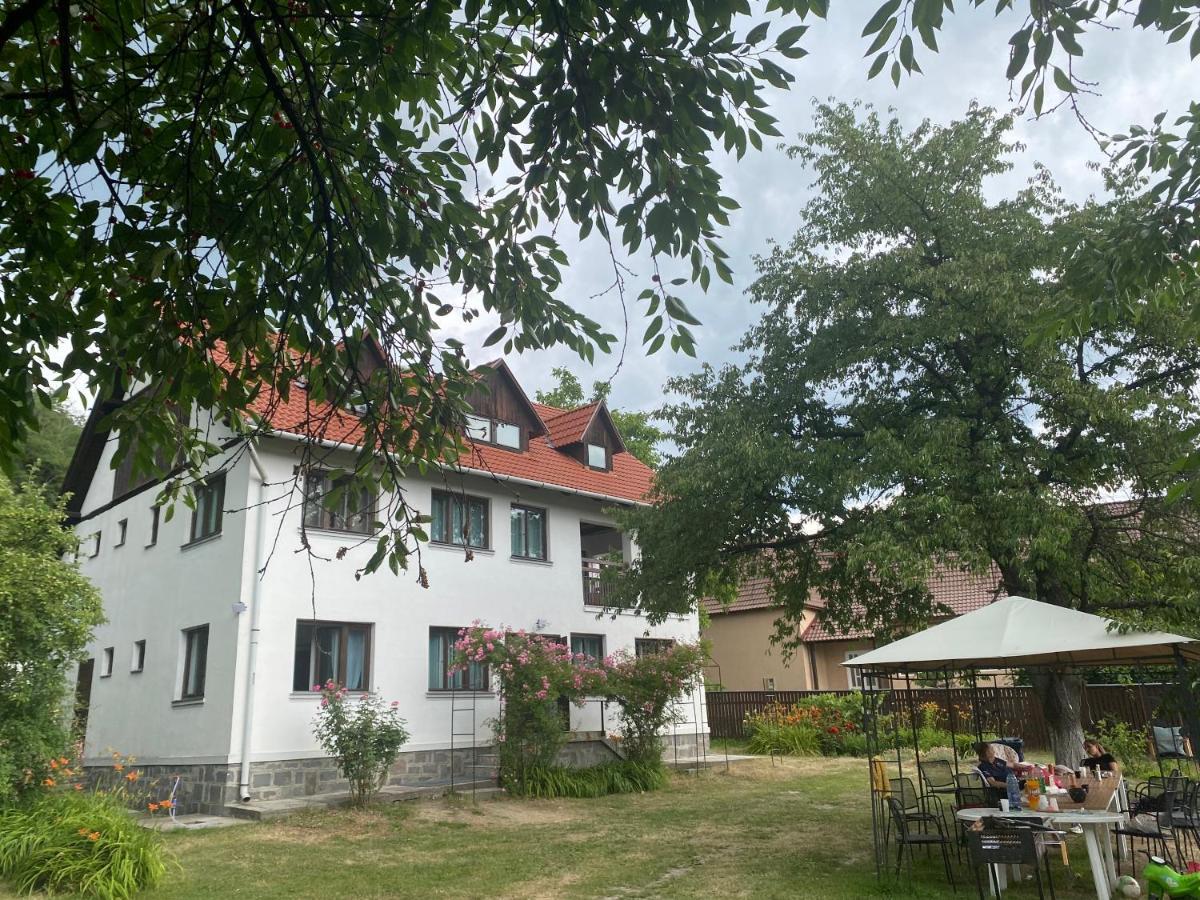 普拉伊德 Casa Bucataria Fonix酒店 外观 照片